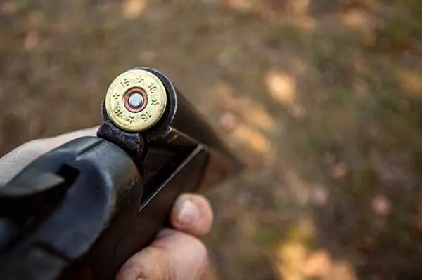 Adjustments and calibration are key for accurate targeting. Use a reliable bore sighter to align your optics with the firearm's barrel. Regularly check the zeroing after rigorous shooting sessions, as it helps maintain precision during hunts.