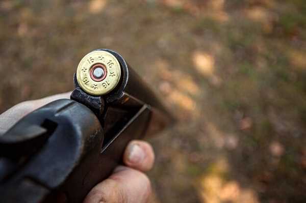 Adjustments and calibration are key for accurate targeting. Use a reliable bore sighter to align your optics with the firearm's barrel. Regularly check the zeroing after rigorous shooting sessions, as it helps maintain precision during hunts.