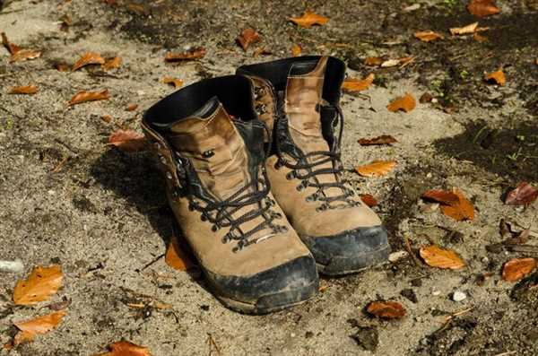 Top Brands and Models for Rugged Outdoor Activities