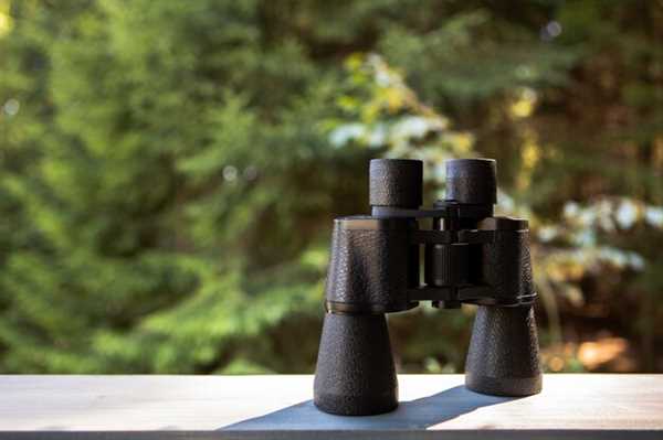 Top Binoculars for Hunters in 2025